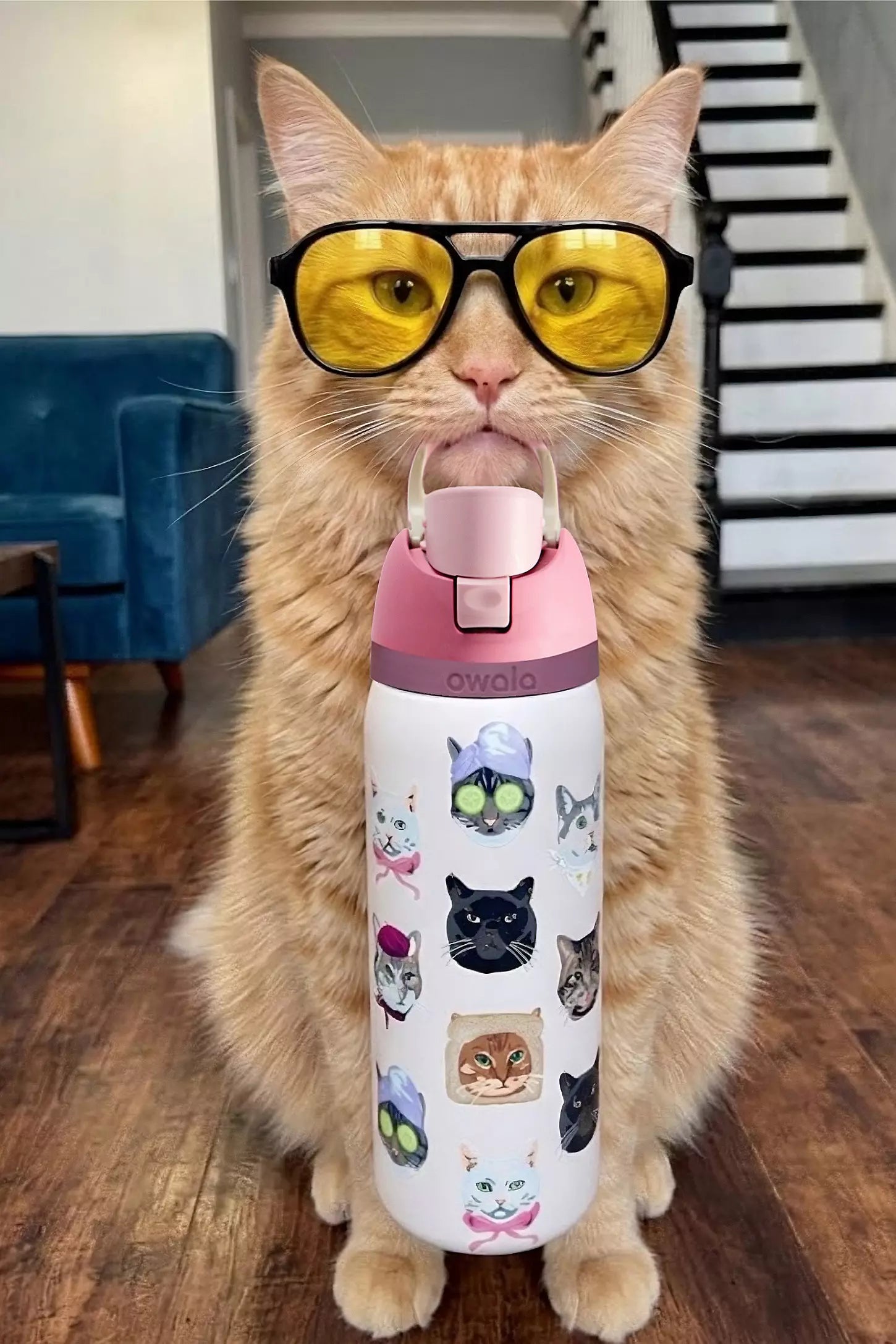 Owala Free Sip 32oz Water Bottle (Catowala)