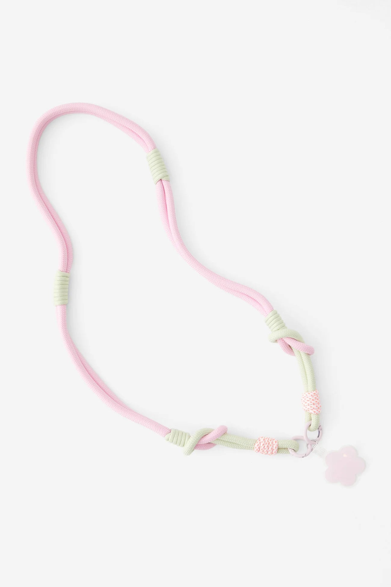 Birthday Bash Box (Petal Pink with Owala)