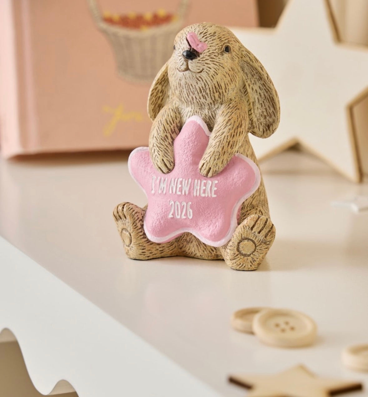 Baby Girl 2026 Gift Parcel