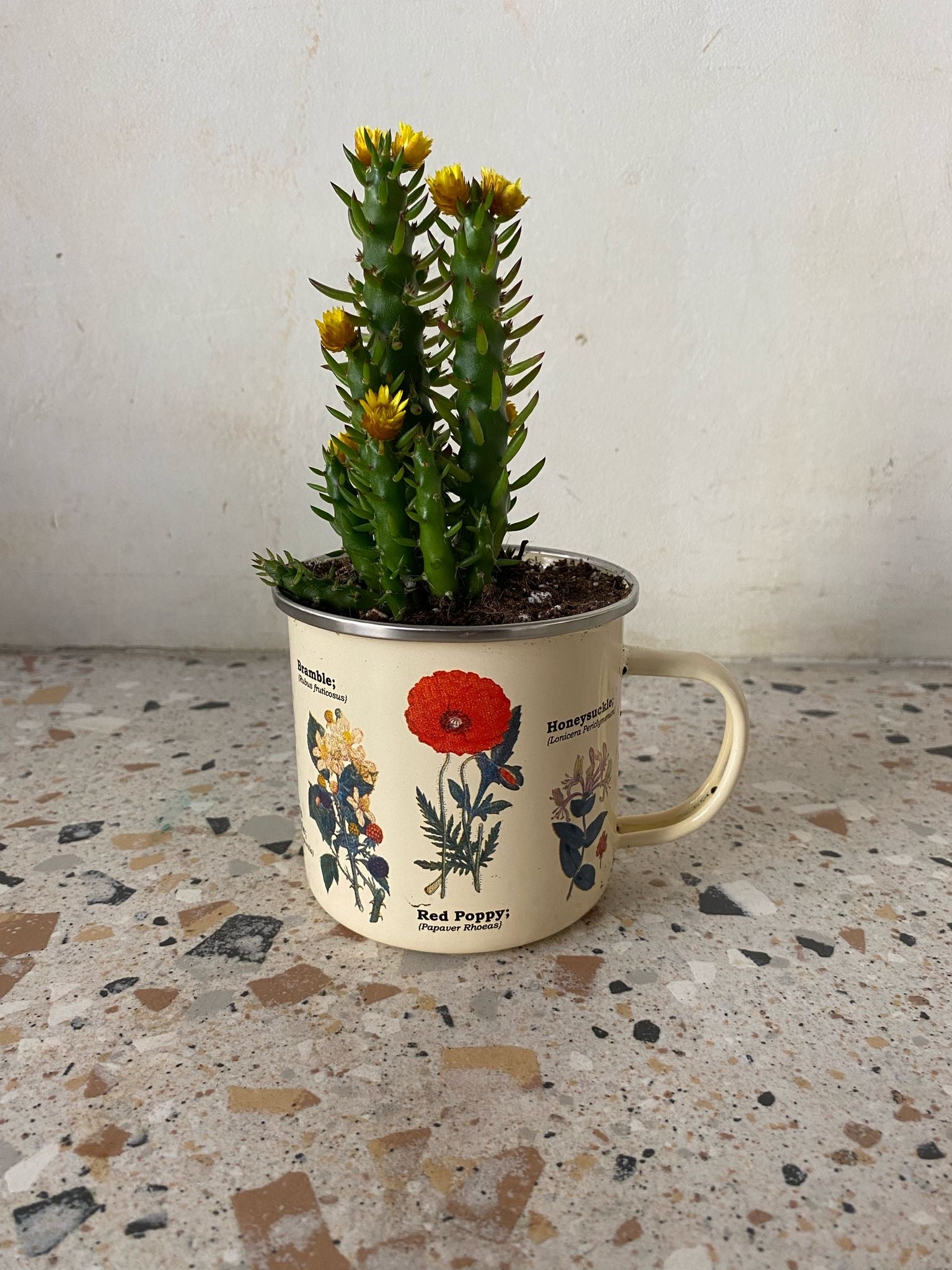 Wild Flower Enamel Mug w/ Plant