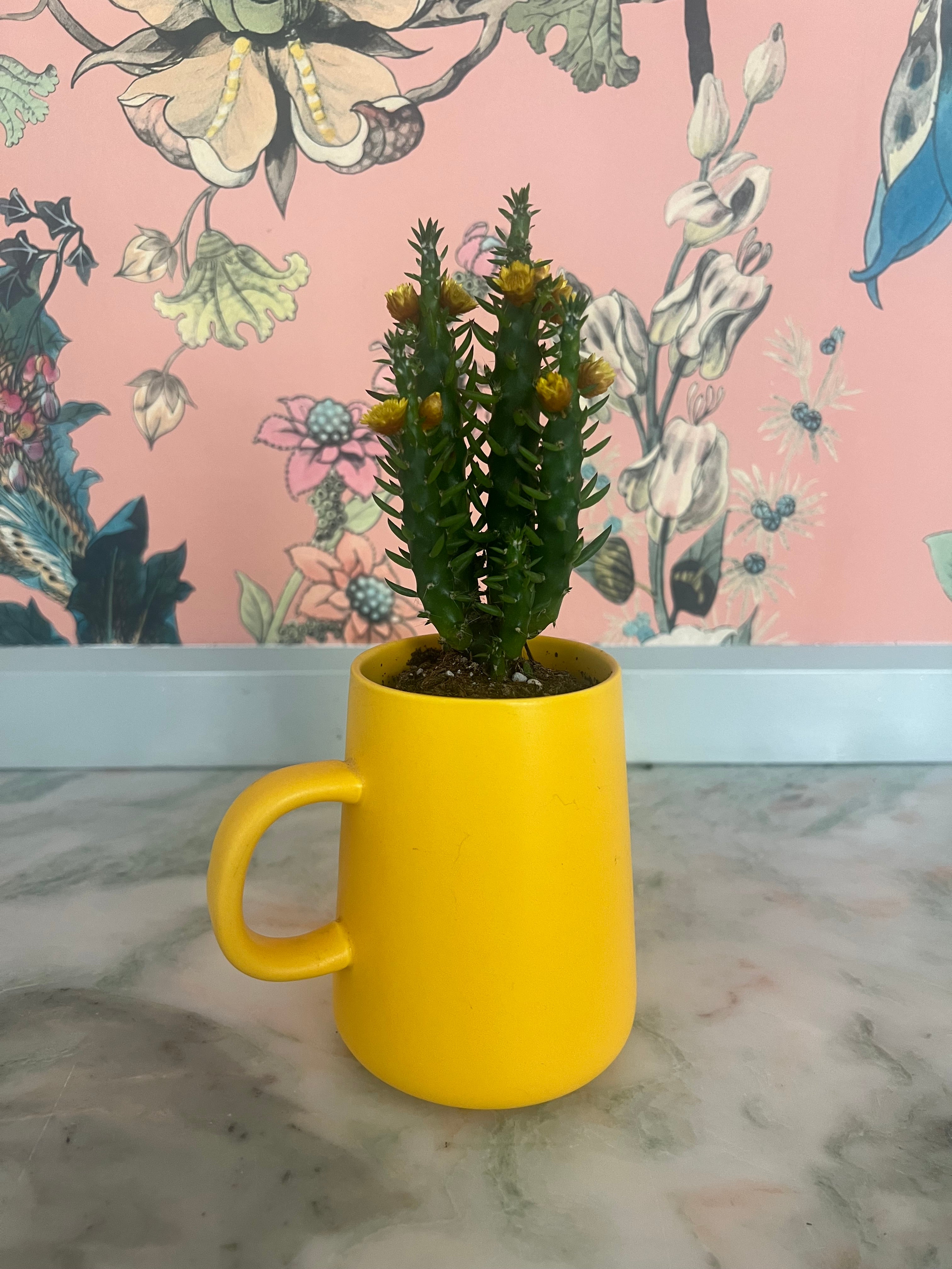 Yellow Mug w/ Plant