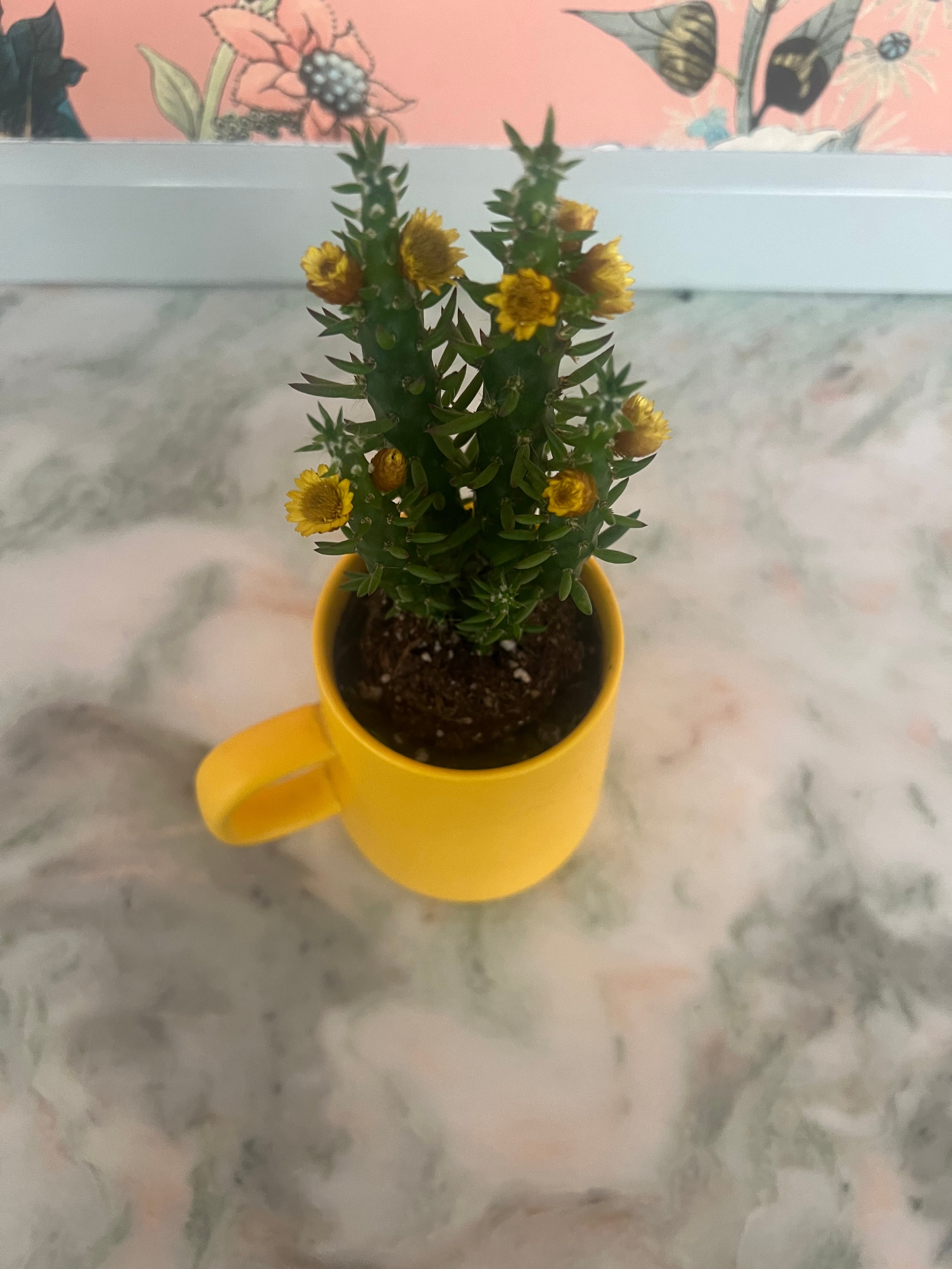 Yellow Mug w/ Plant