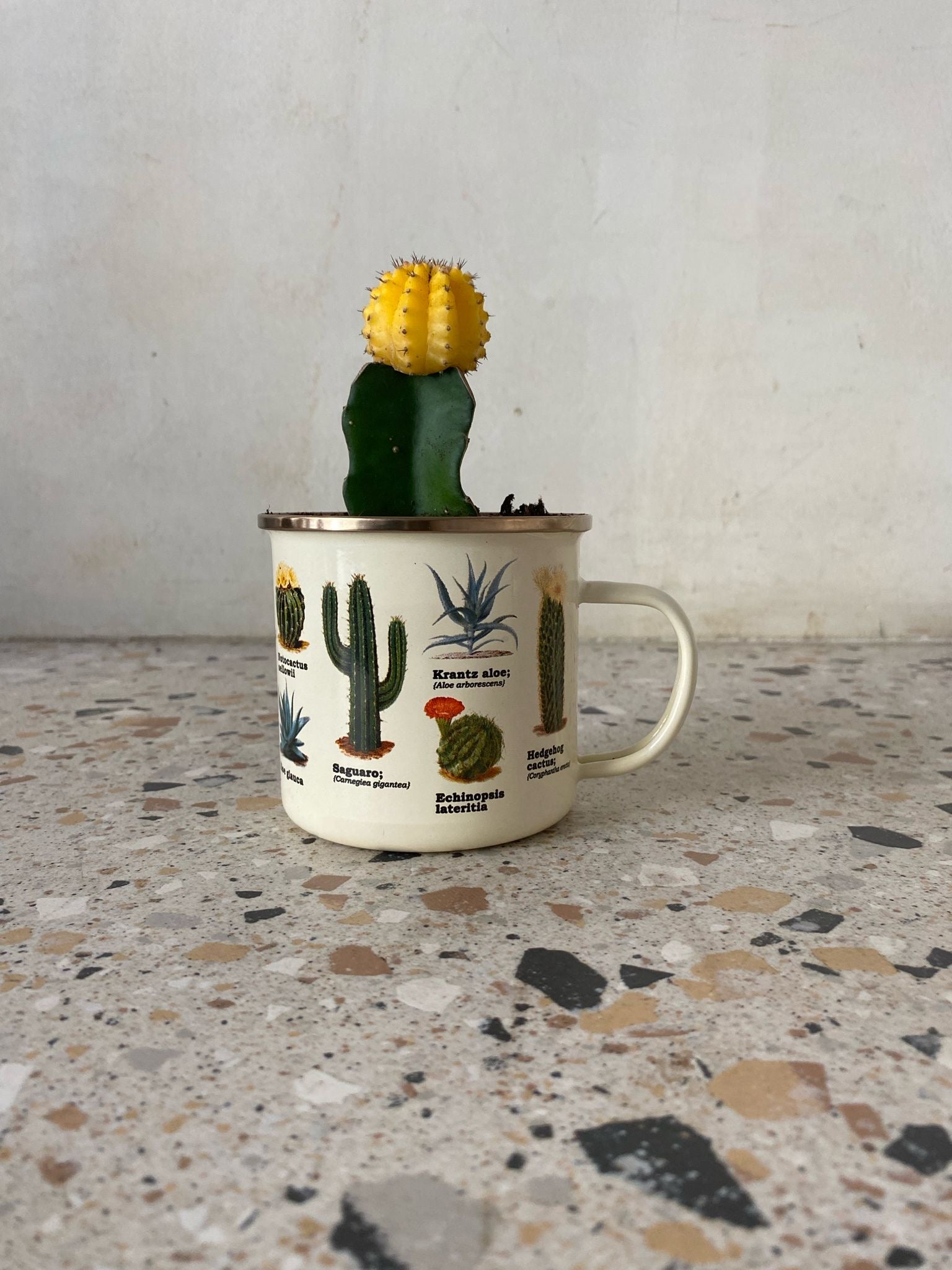 Cactus Enamel Mug w/ Plant