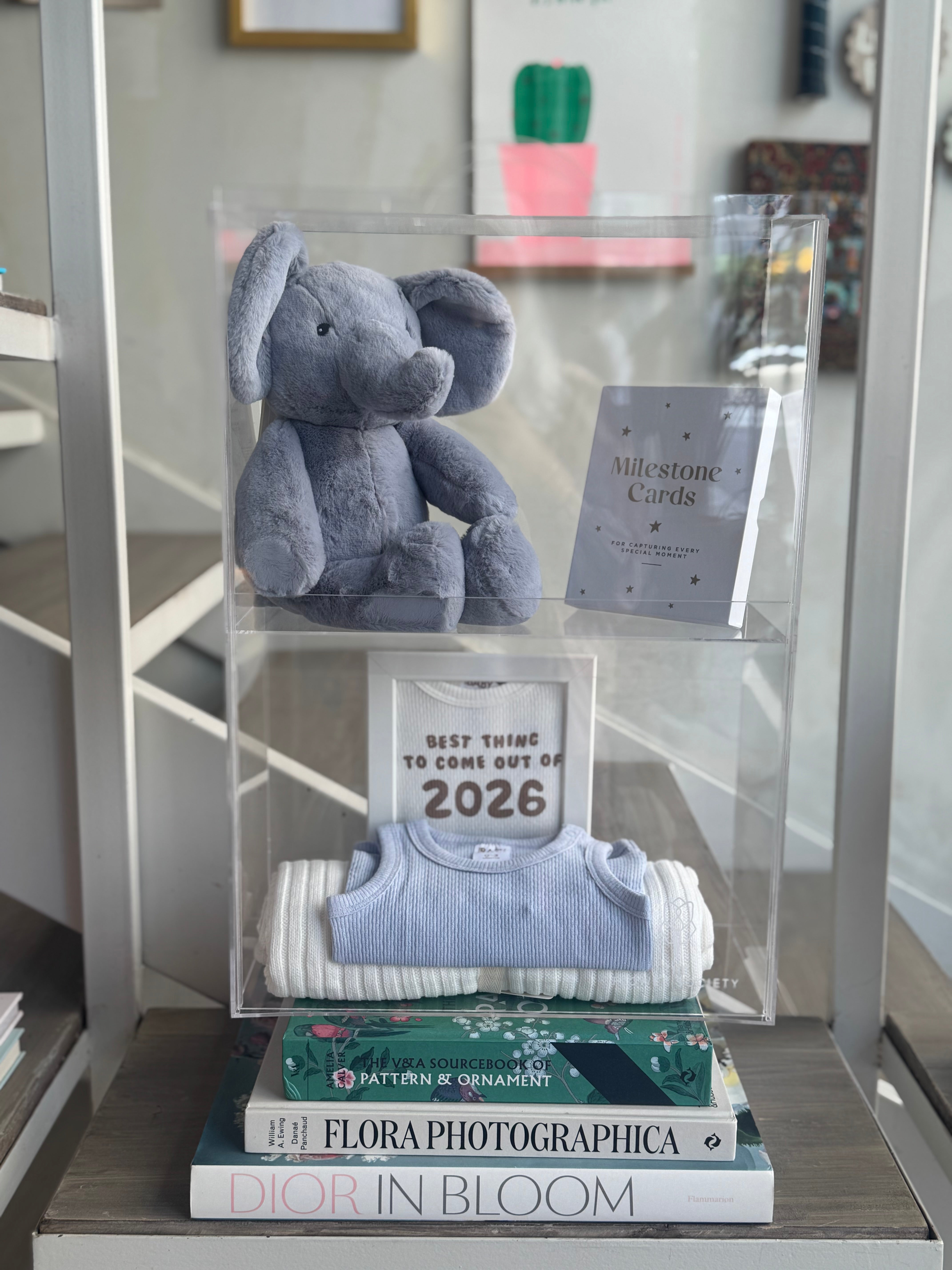 Baby Boy Deluxe Newborn Box