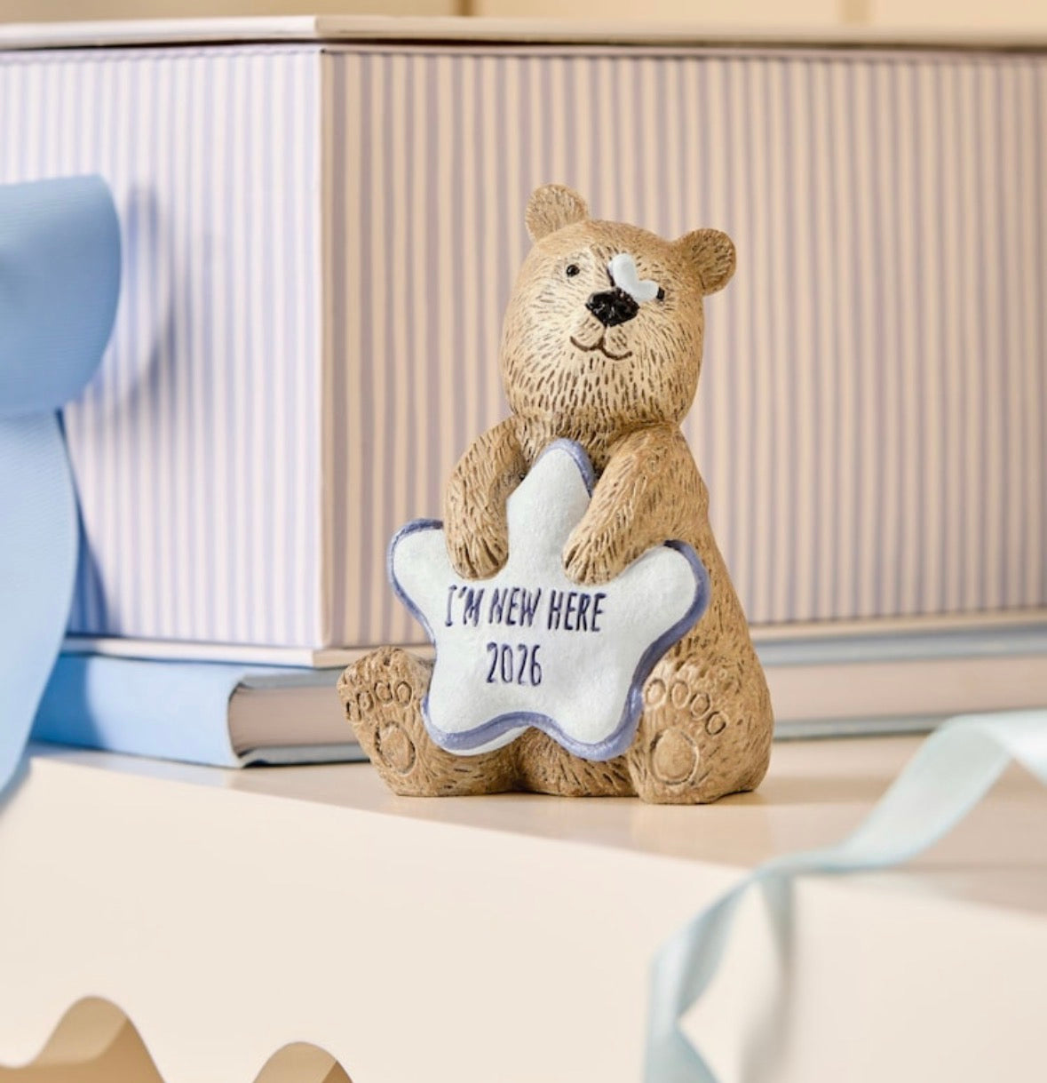 Baby Boy 2026 Gift Parcel