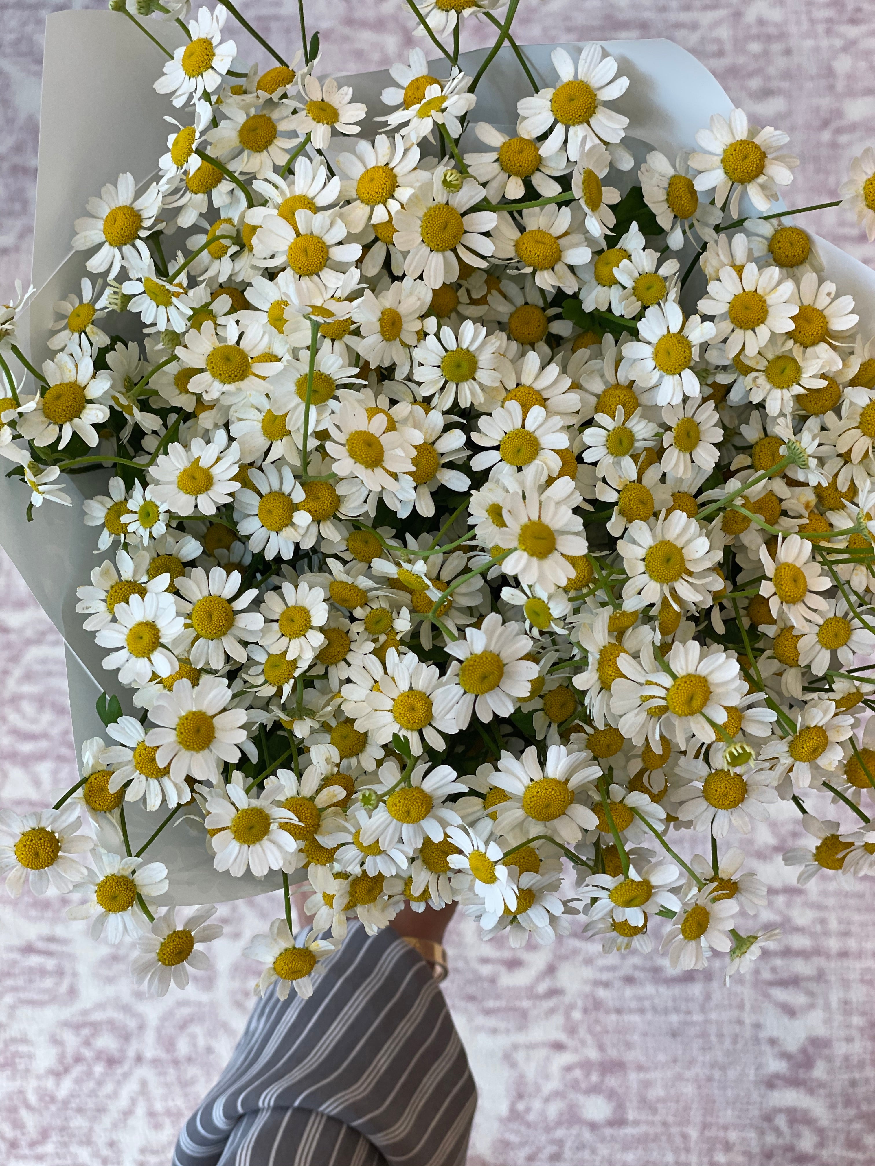 Damsel Daisy Hand Bouquet