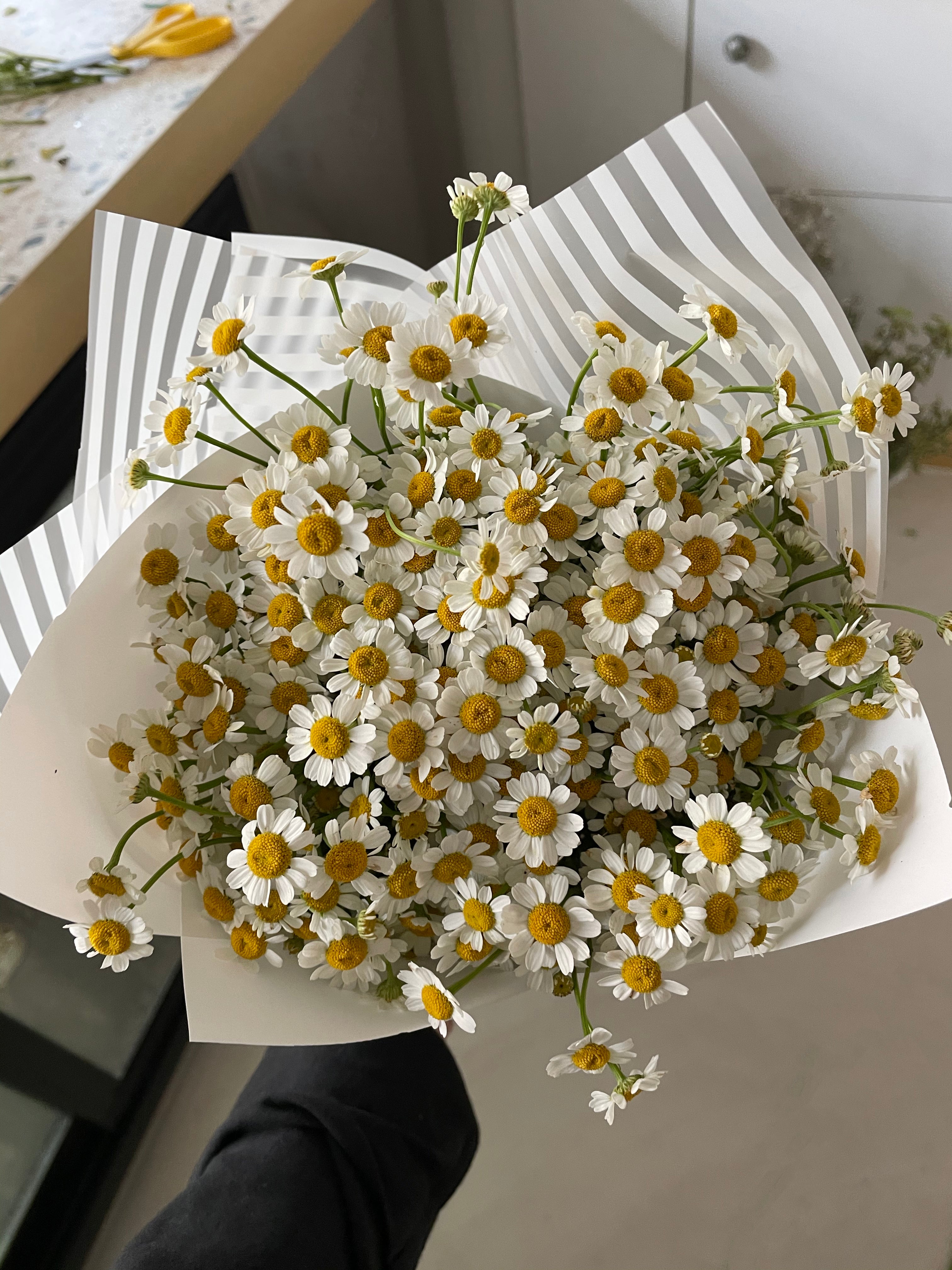 Damsel Daisy Hand Bouquet