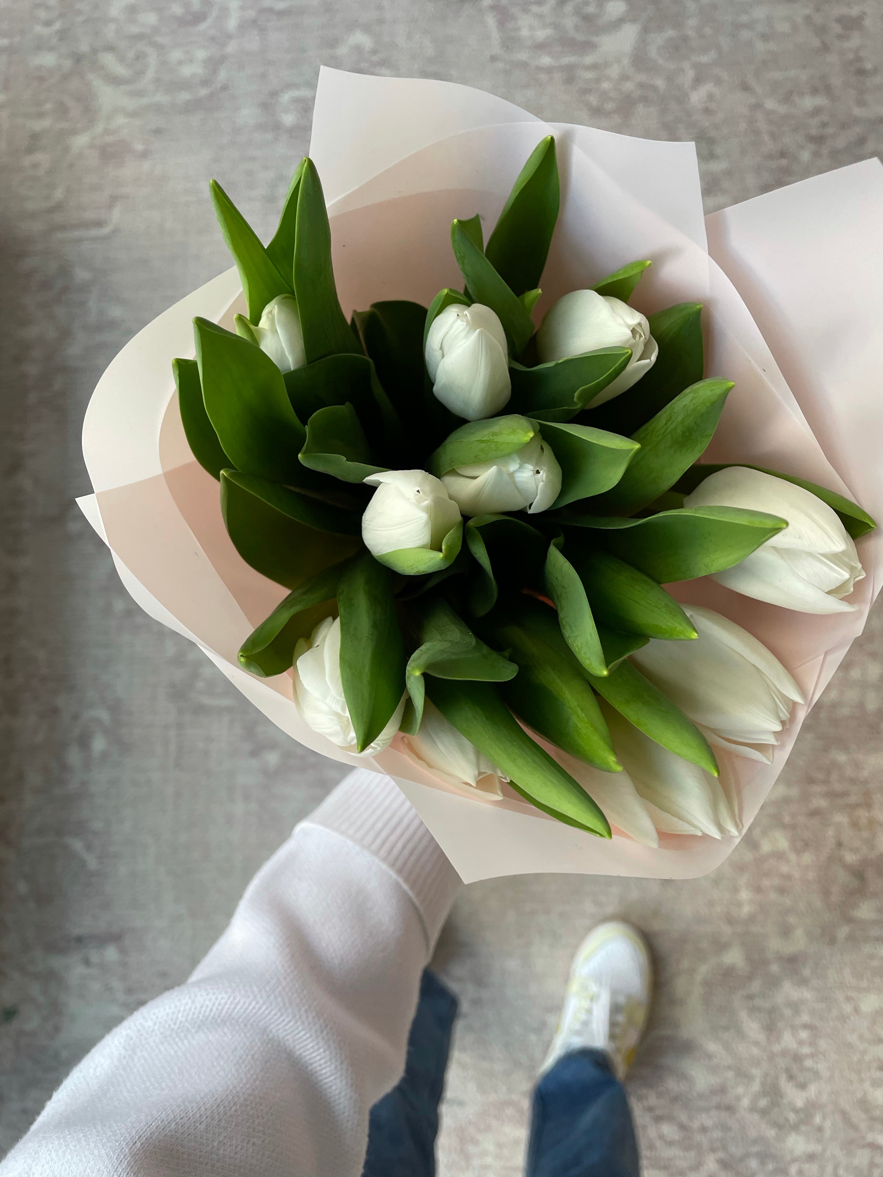 Tulips For You