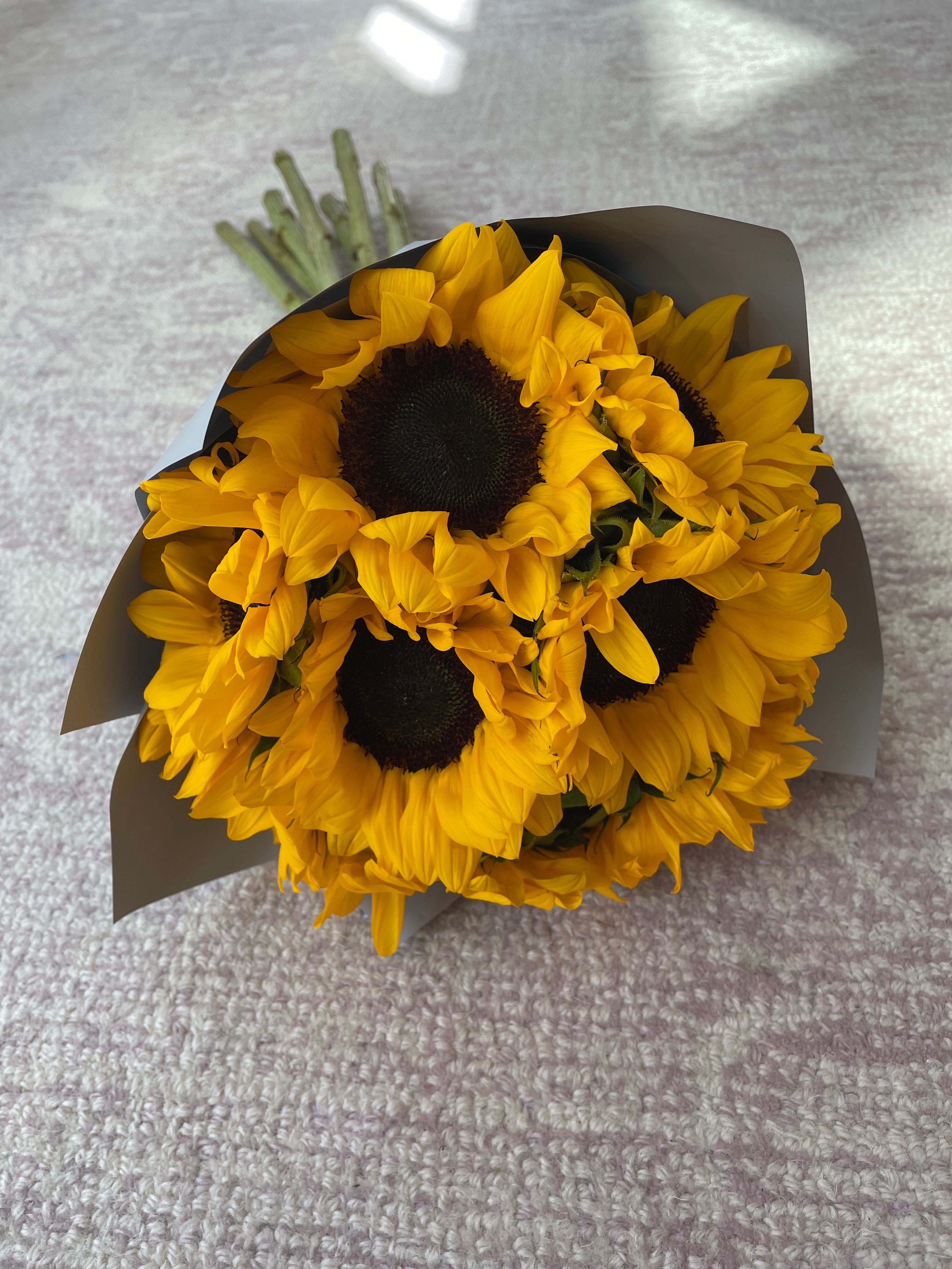 You Are My Sunshine