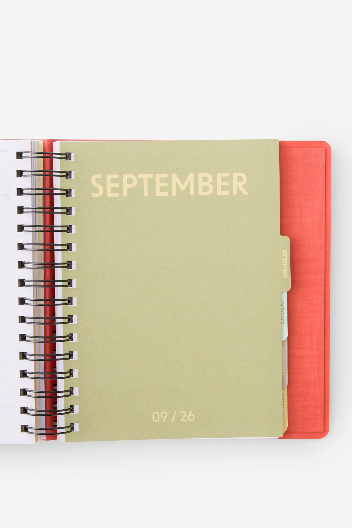2026 Stay Focused Daily Planner (Pink Strawberry)