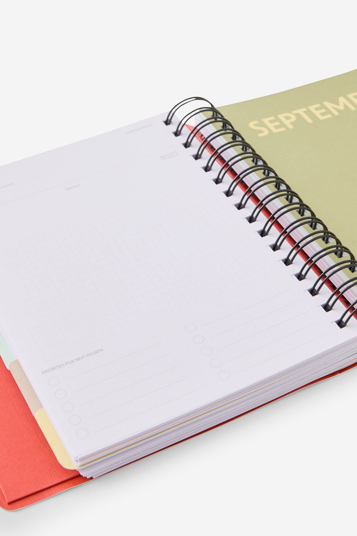 2026 Stay Focused Daily Planner (Pink Strawberry)