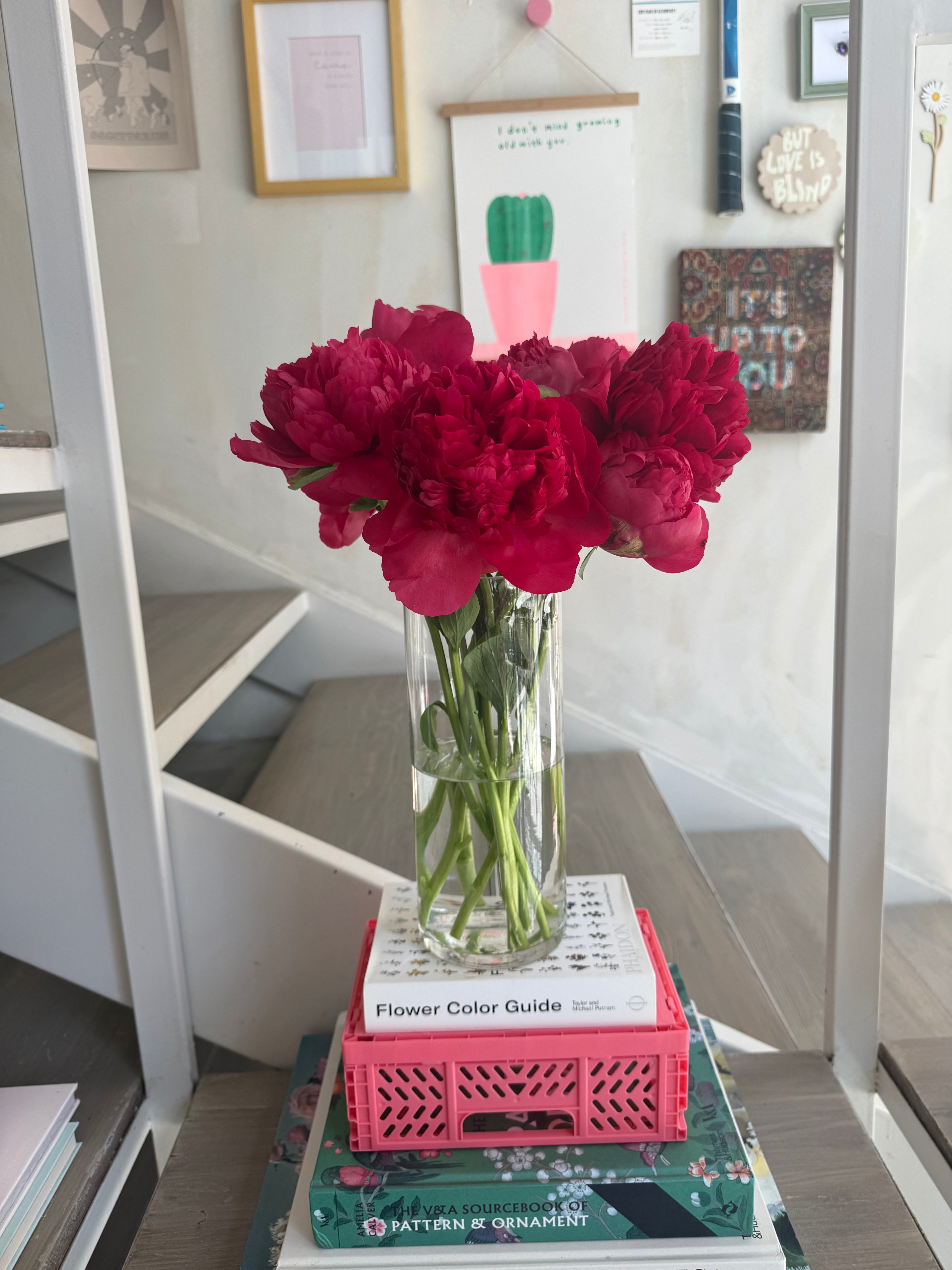 Precious Peonies in a Vase (Dark Pink)