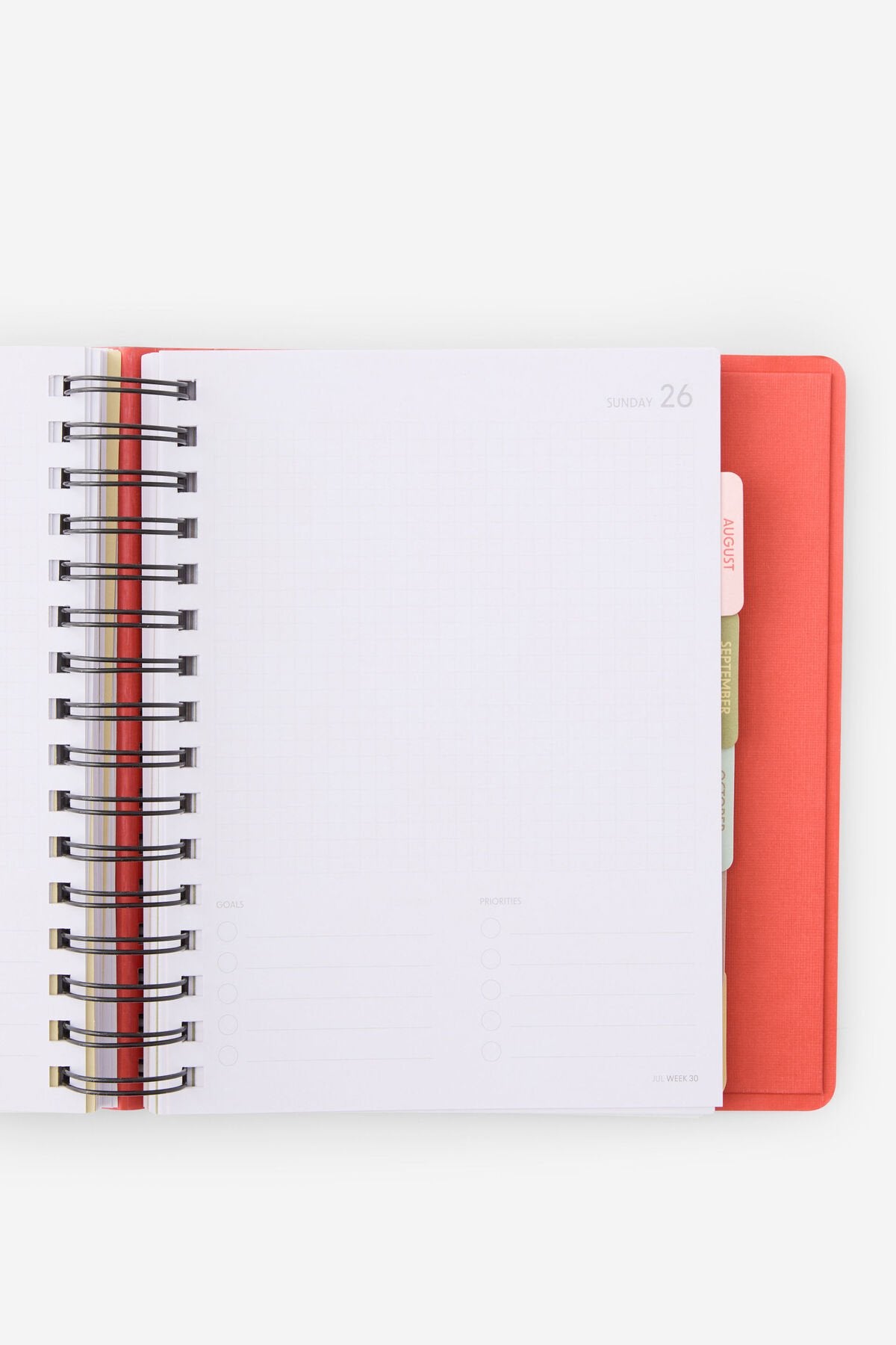 2026 Stay Focused Daily Planner (Pink Strawberry)