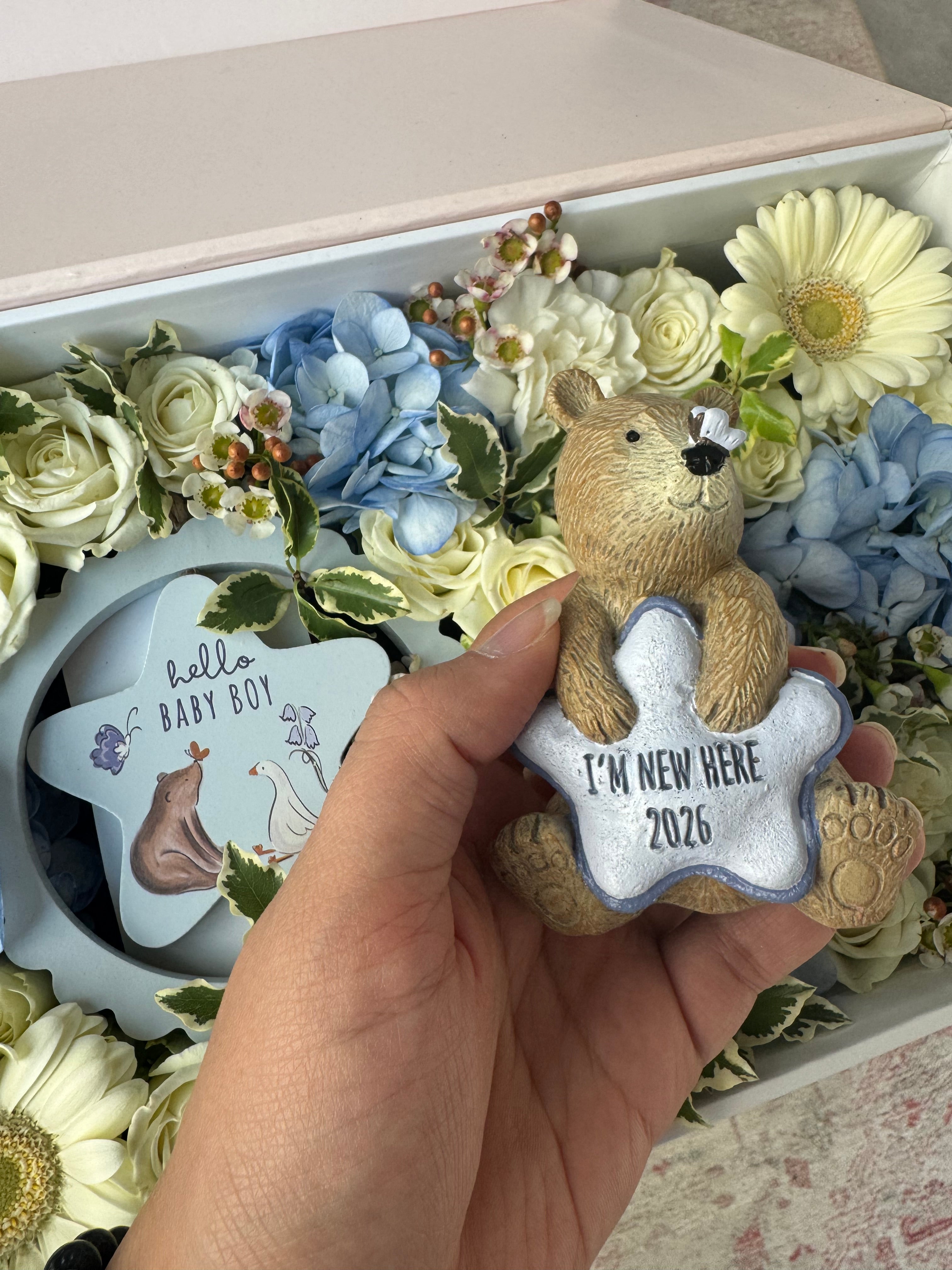 Baby Boy 2026 Gift Parcel