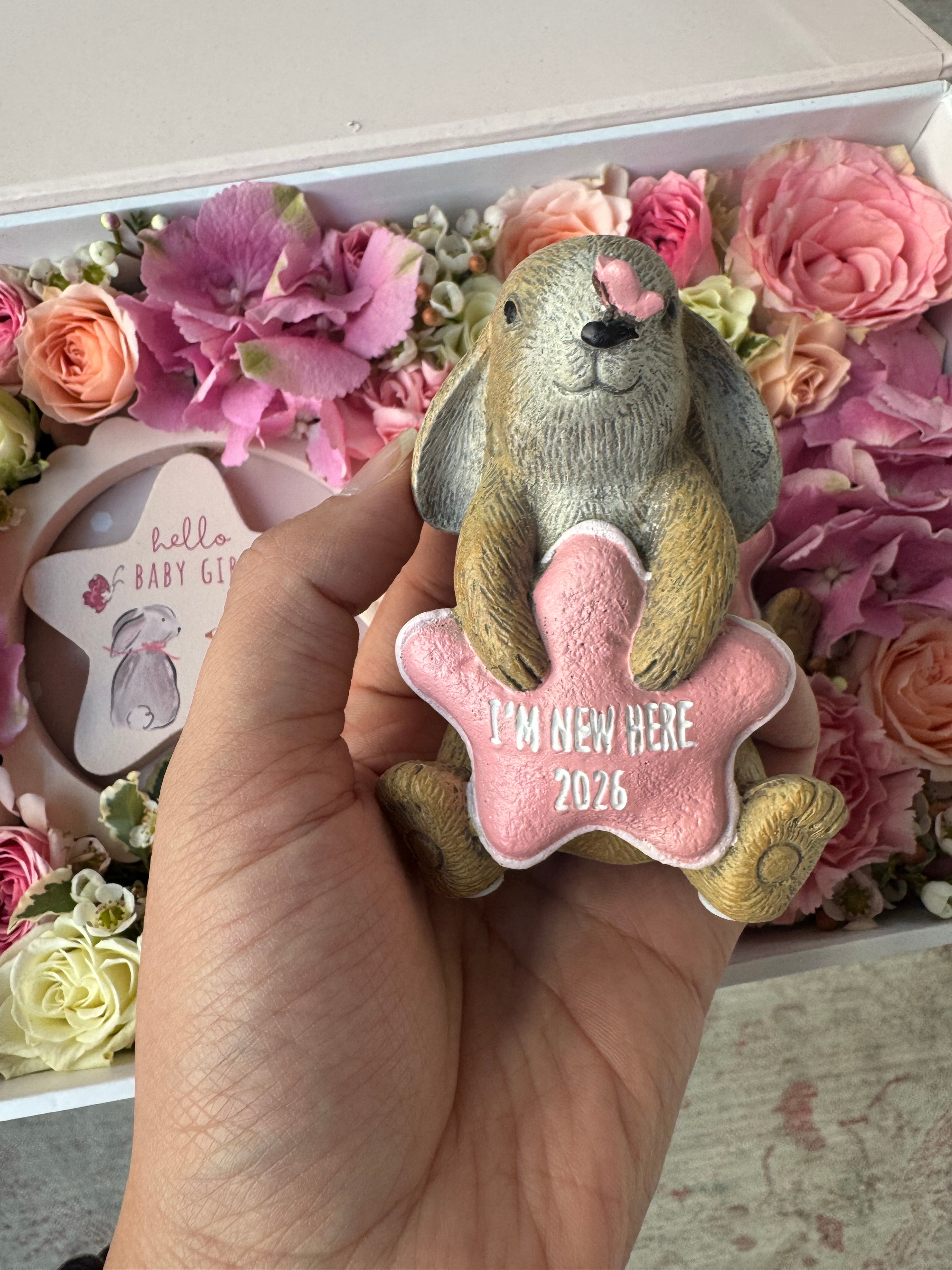 Baby Girl 2026 Gift Parcel