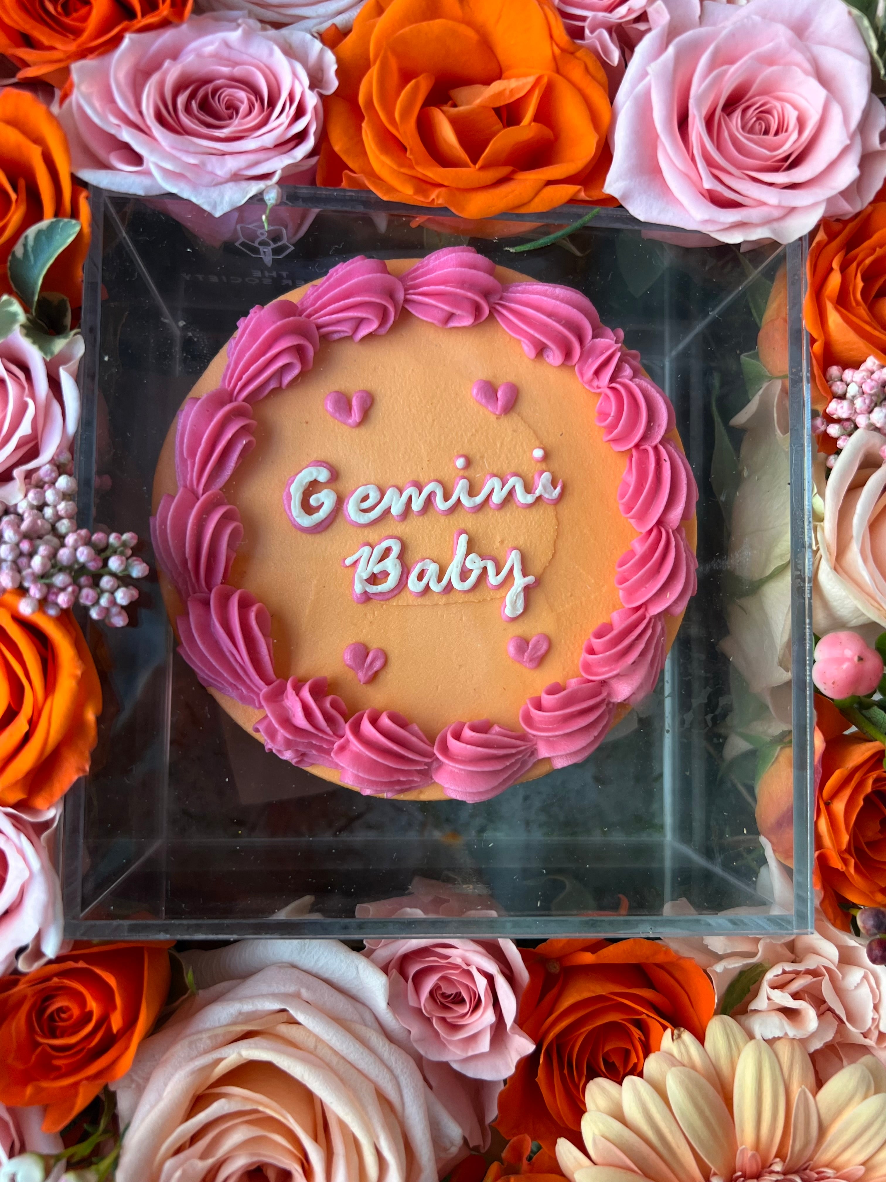 Gemini Baby w/ Charming Little Gemini Tray