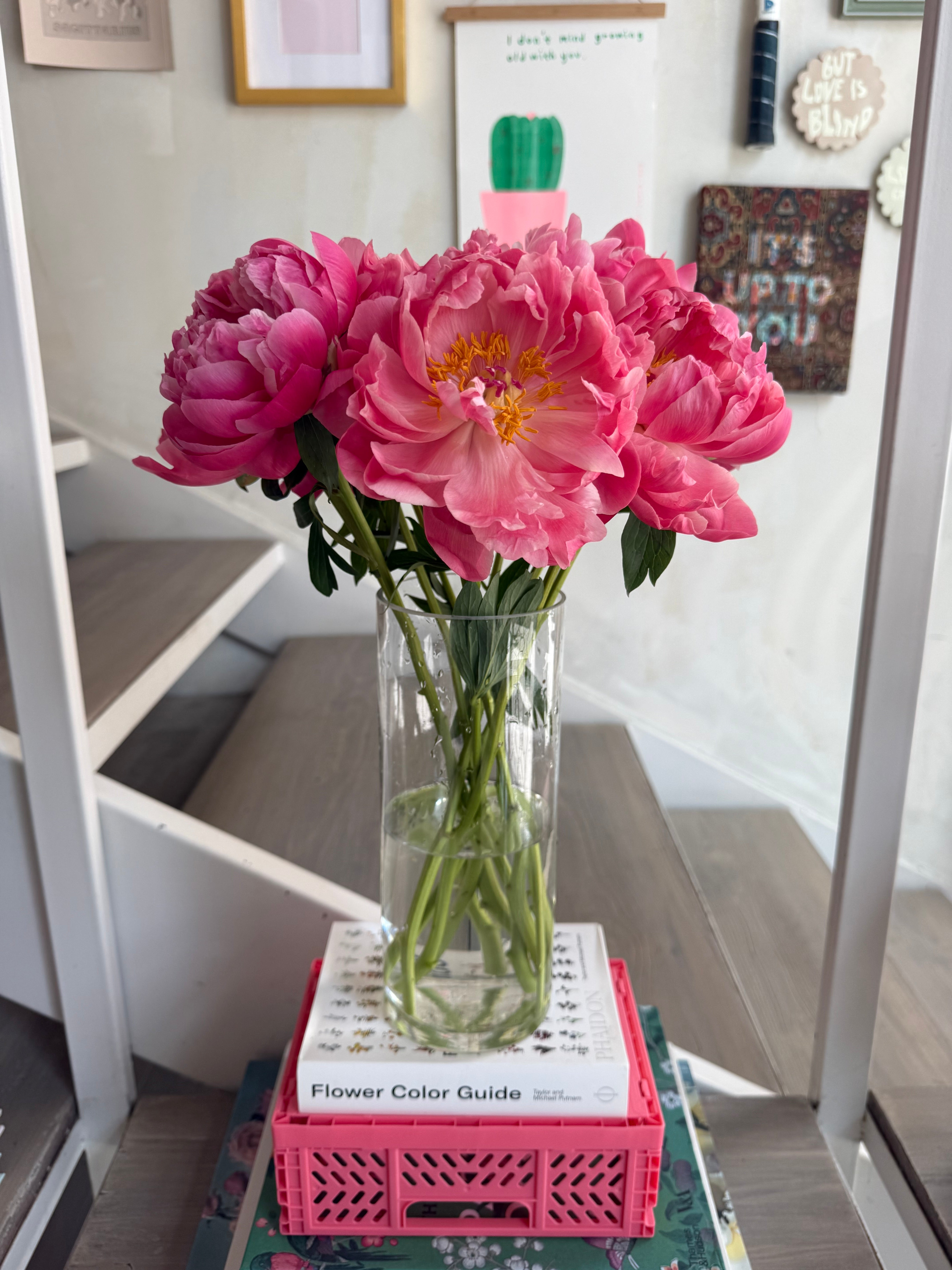 Precious Peonies in a Vase (Coral)