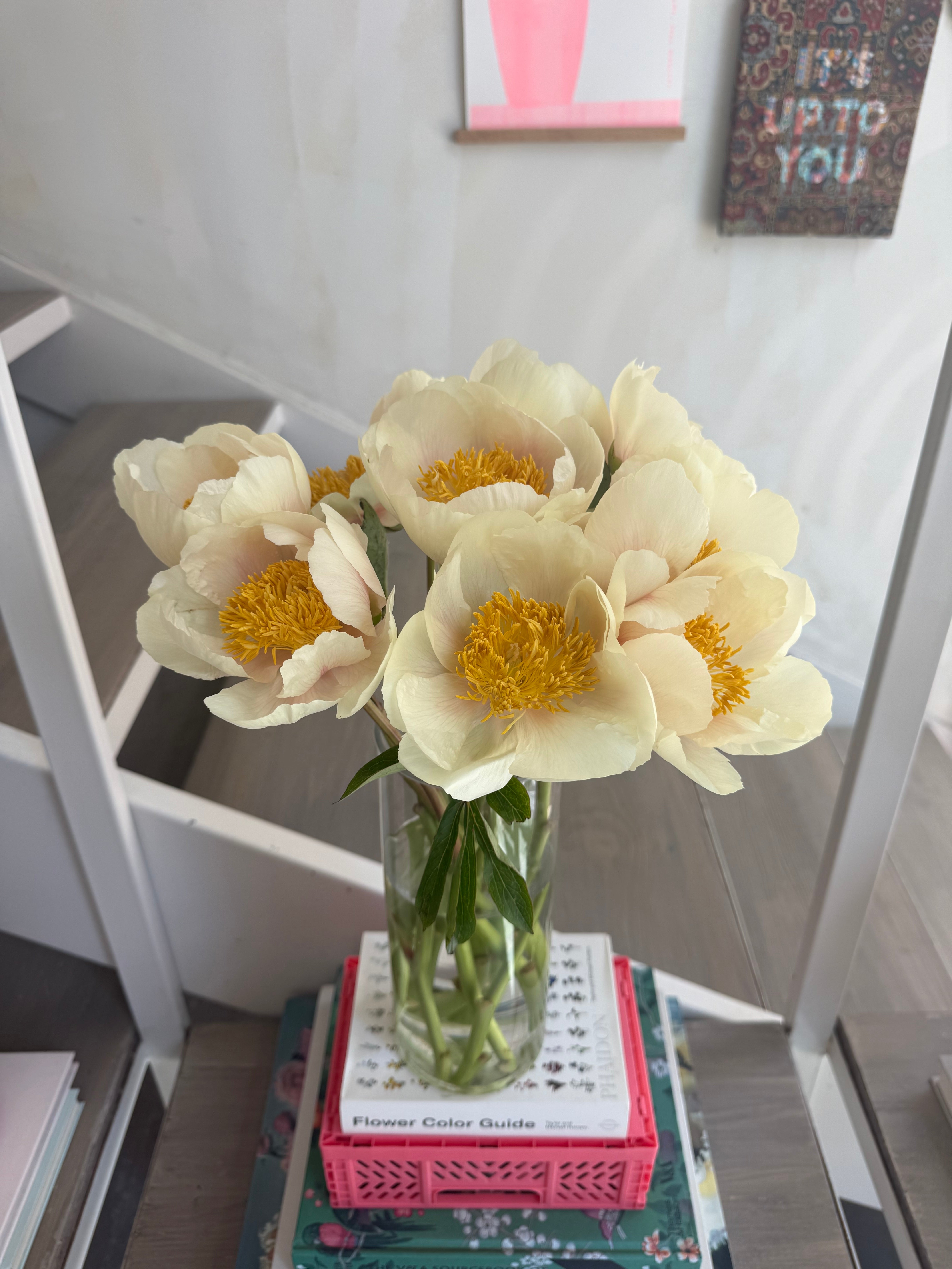 Precious Peonies in a Vase (Pale Yellow)