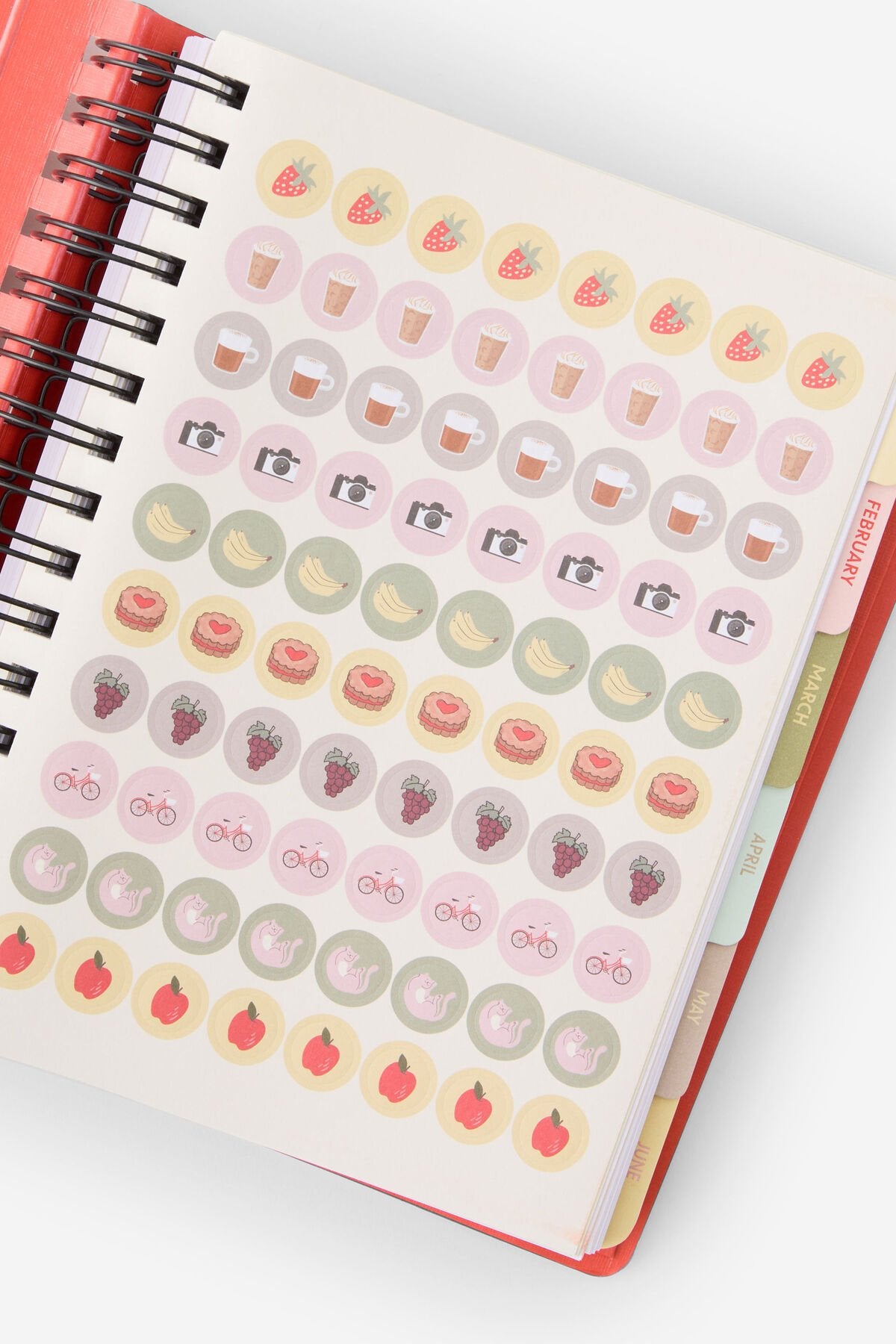 2026 Stay Focused Daily Planner (Pink Strawberry)