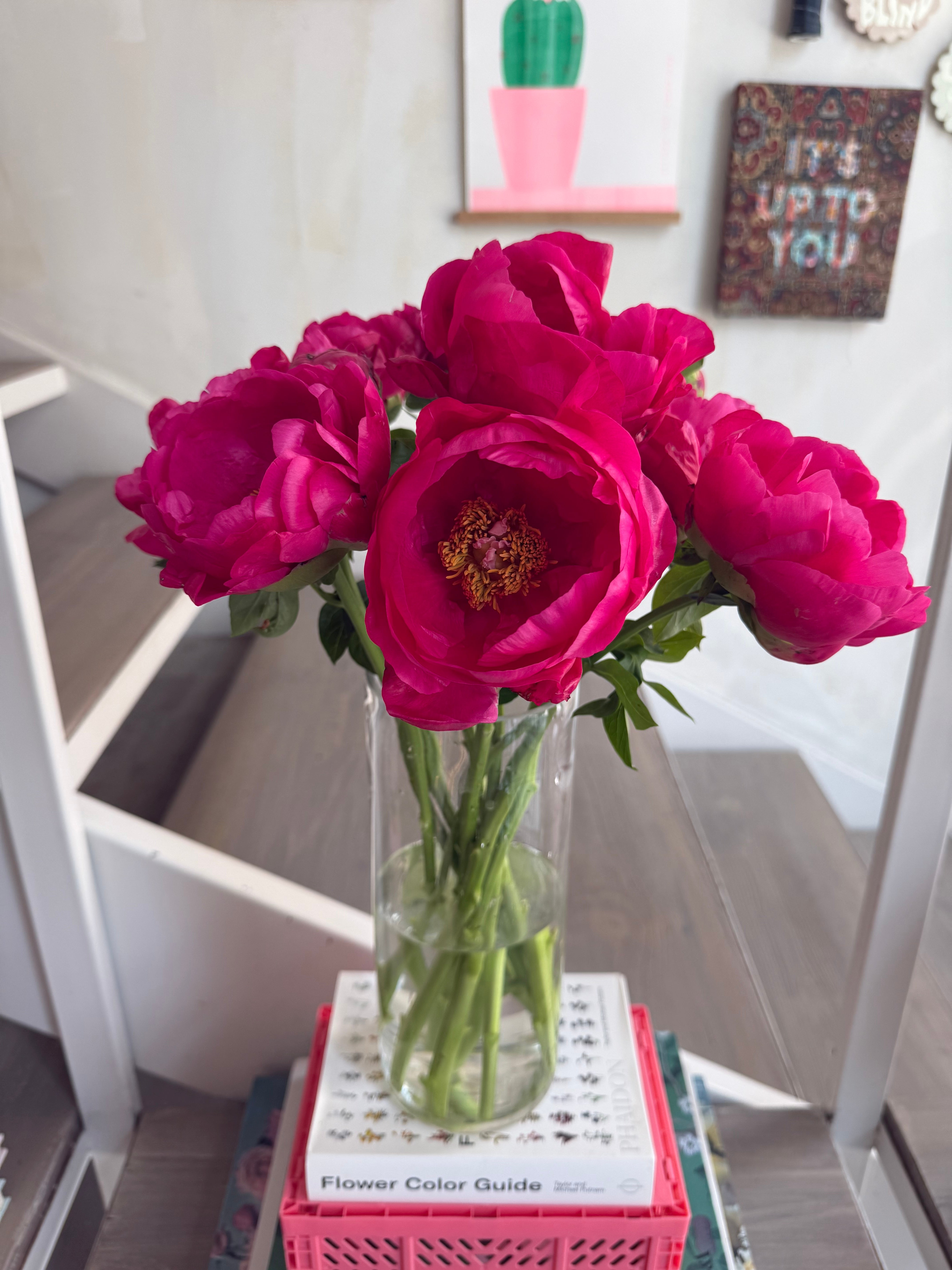 Precious Peonies in a Vase (Fuschia)
