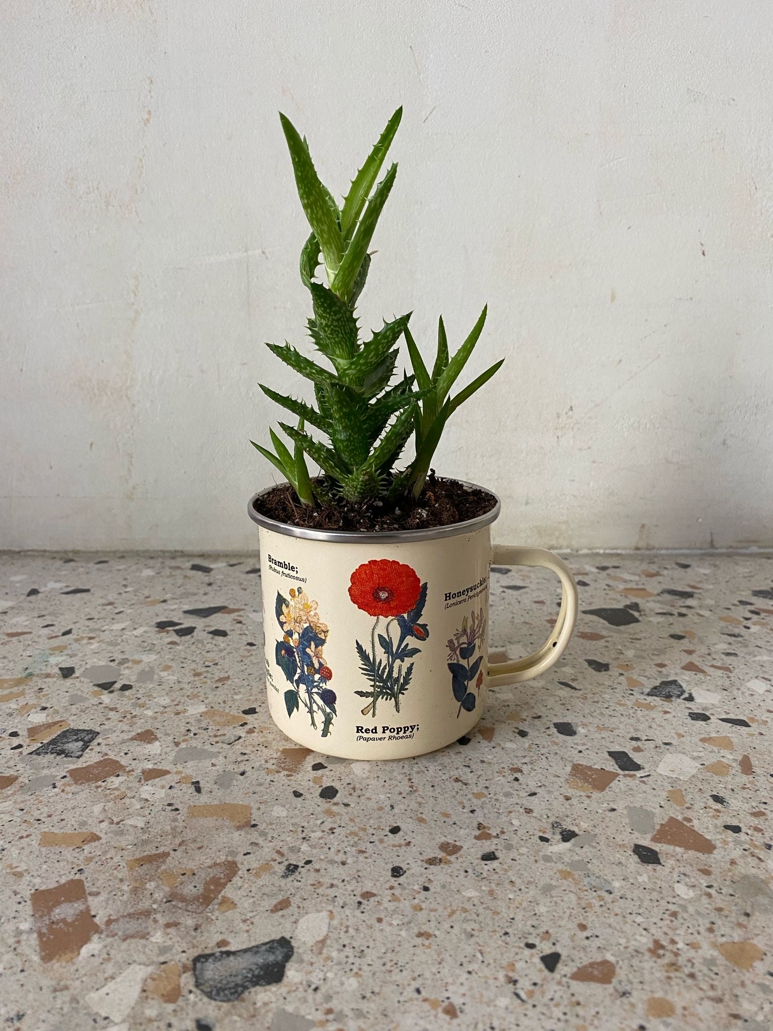 Wild Flower Enamel Mug w/ Plant