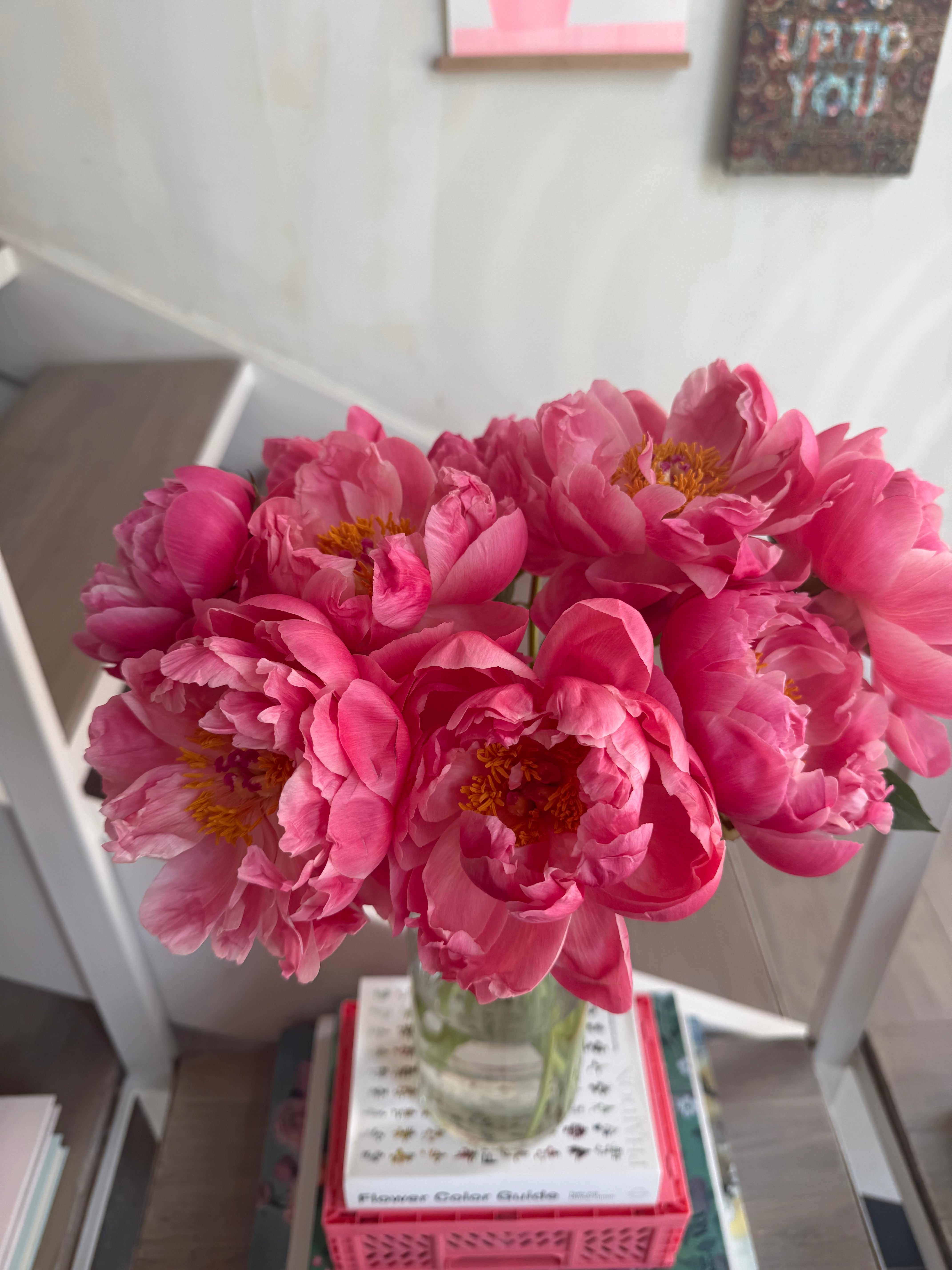 Precious Peonies in a Vase (Coral)