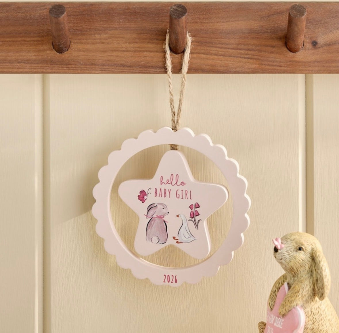 Baby Girl 2026 Gift Parcel