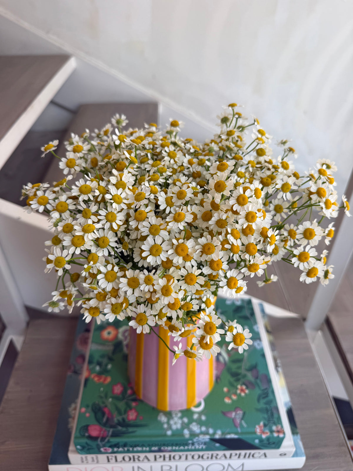 Daisies for Days in Vase