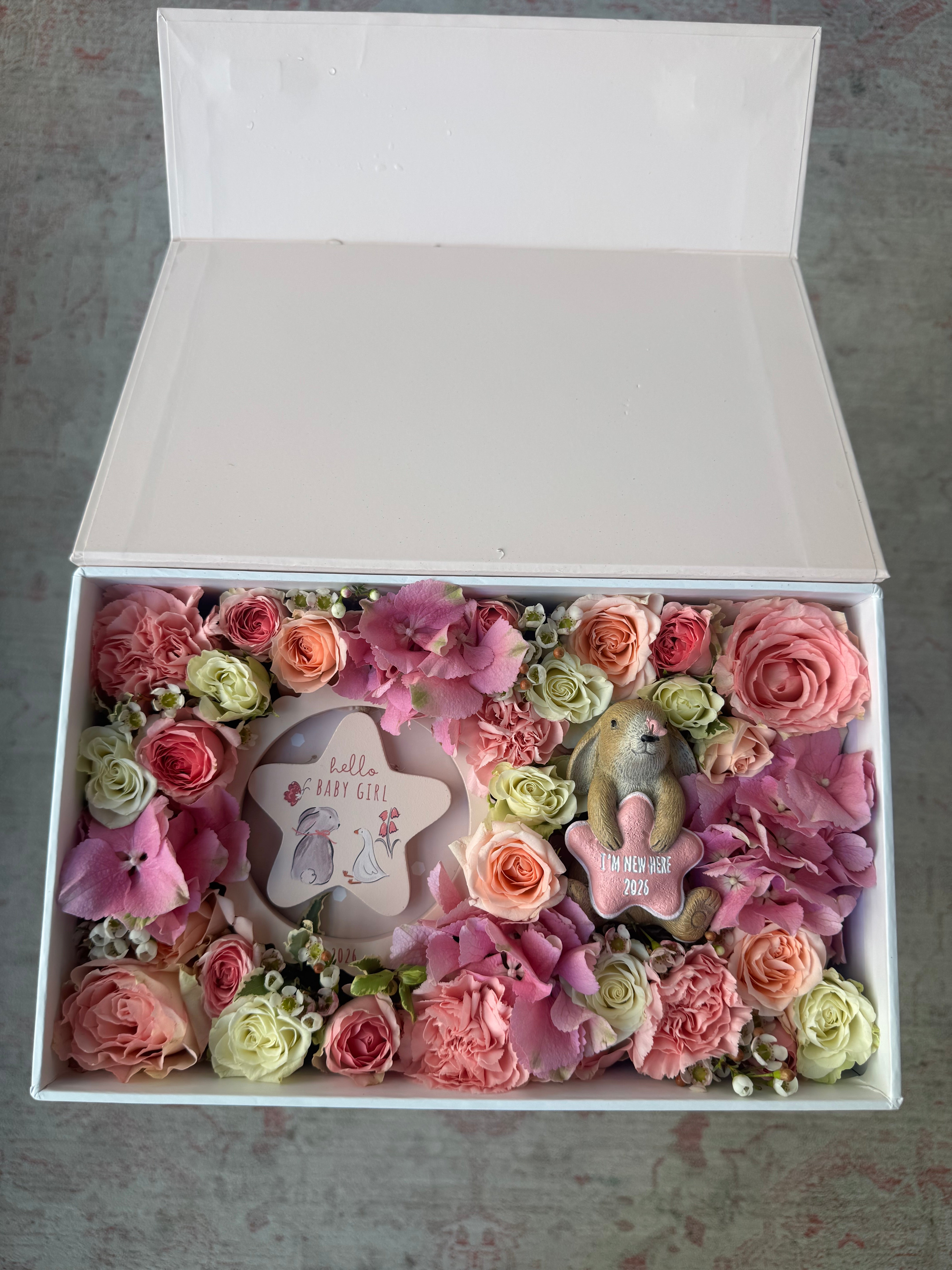 Baby Girl 2026 Gift Parcel