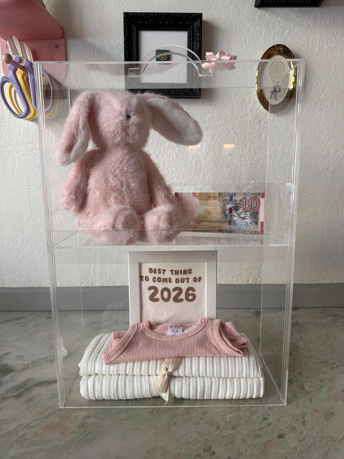 Baby Girl Deluxe Newborn Box (with Cash)