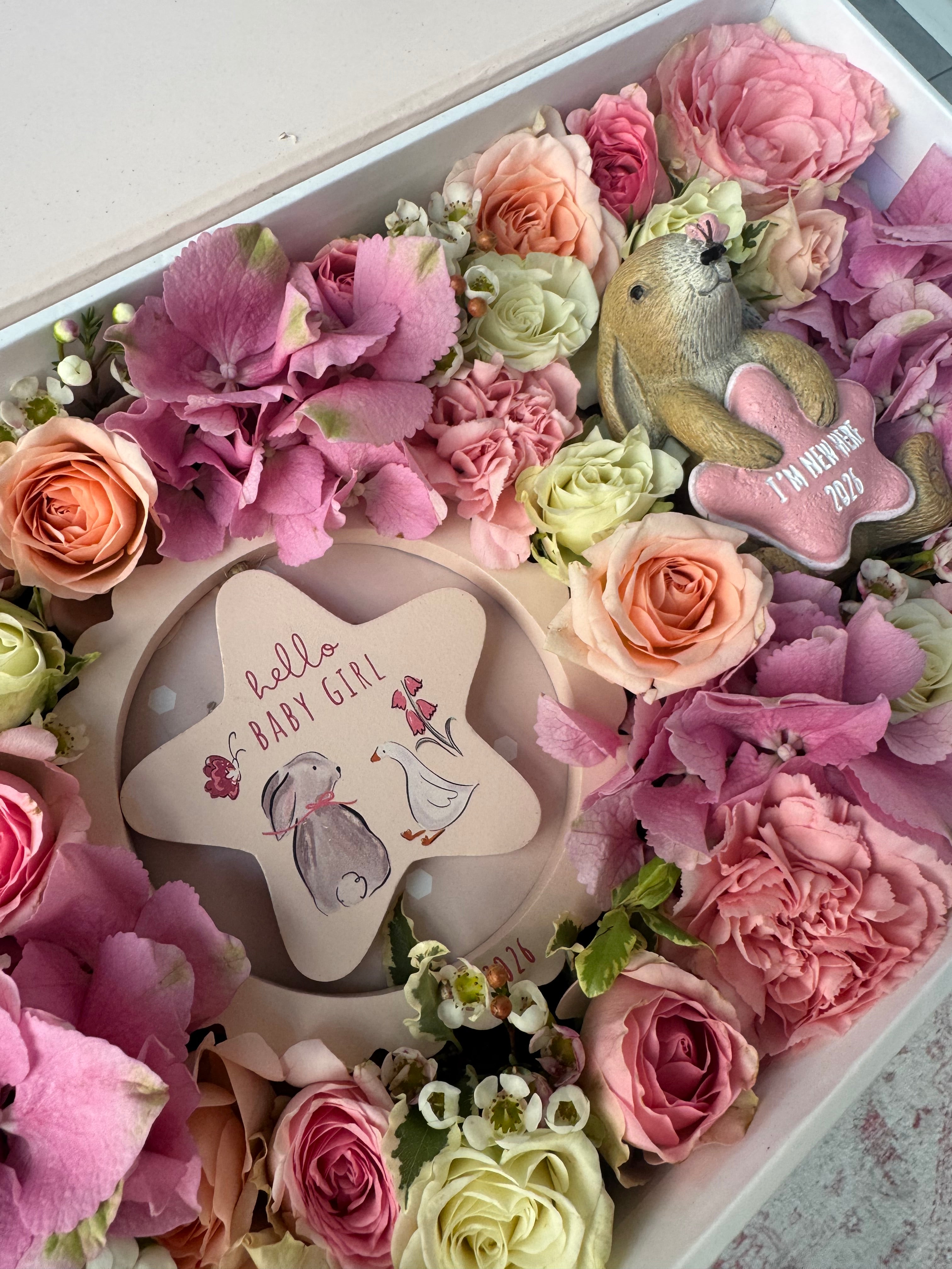 Baby Girl 2026 Gift Parcel