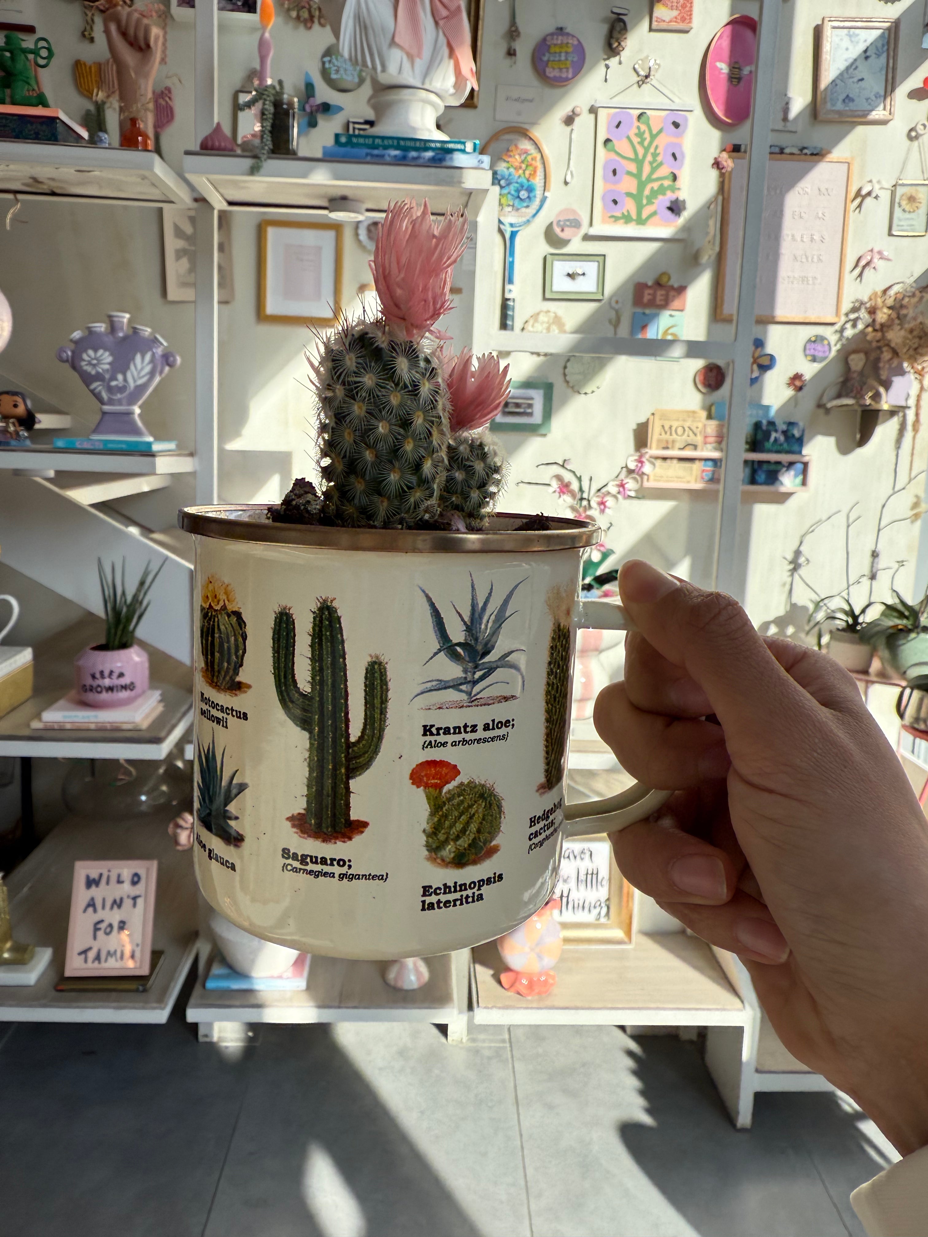 Cactus Enamel Mug w/ Plant