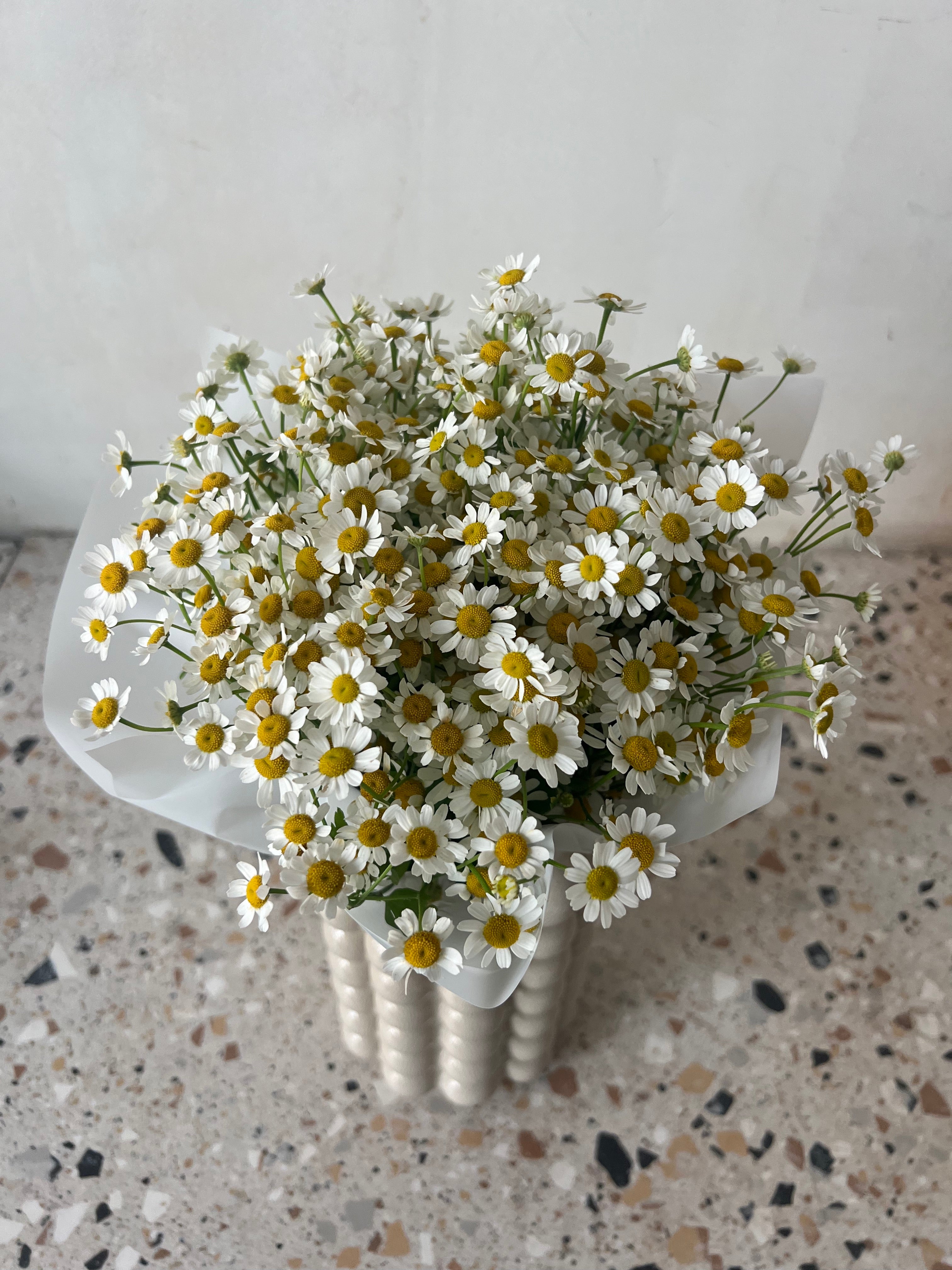 Damsel Daisy Hand Bouquet