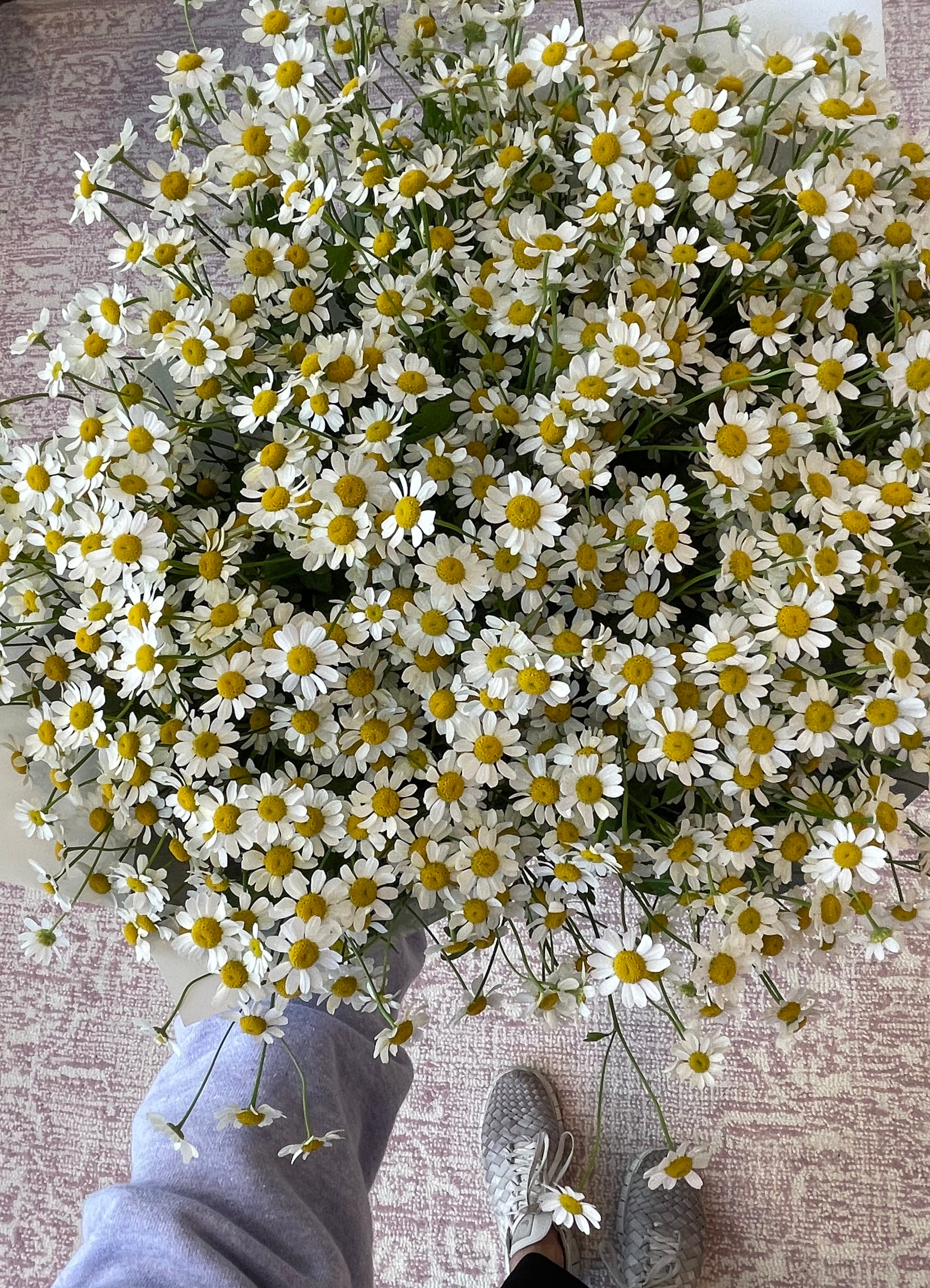 Damsel Daisy Hand Bouquet