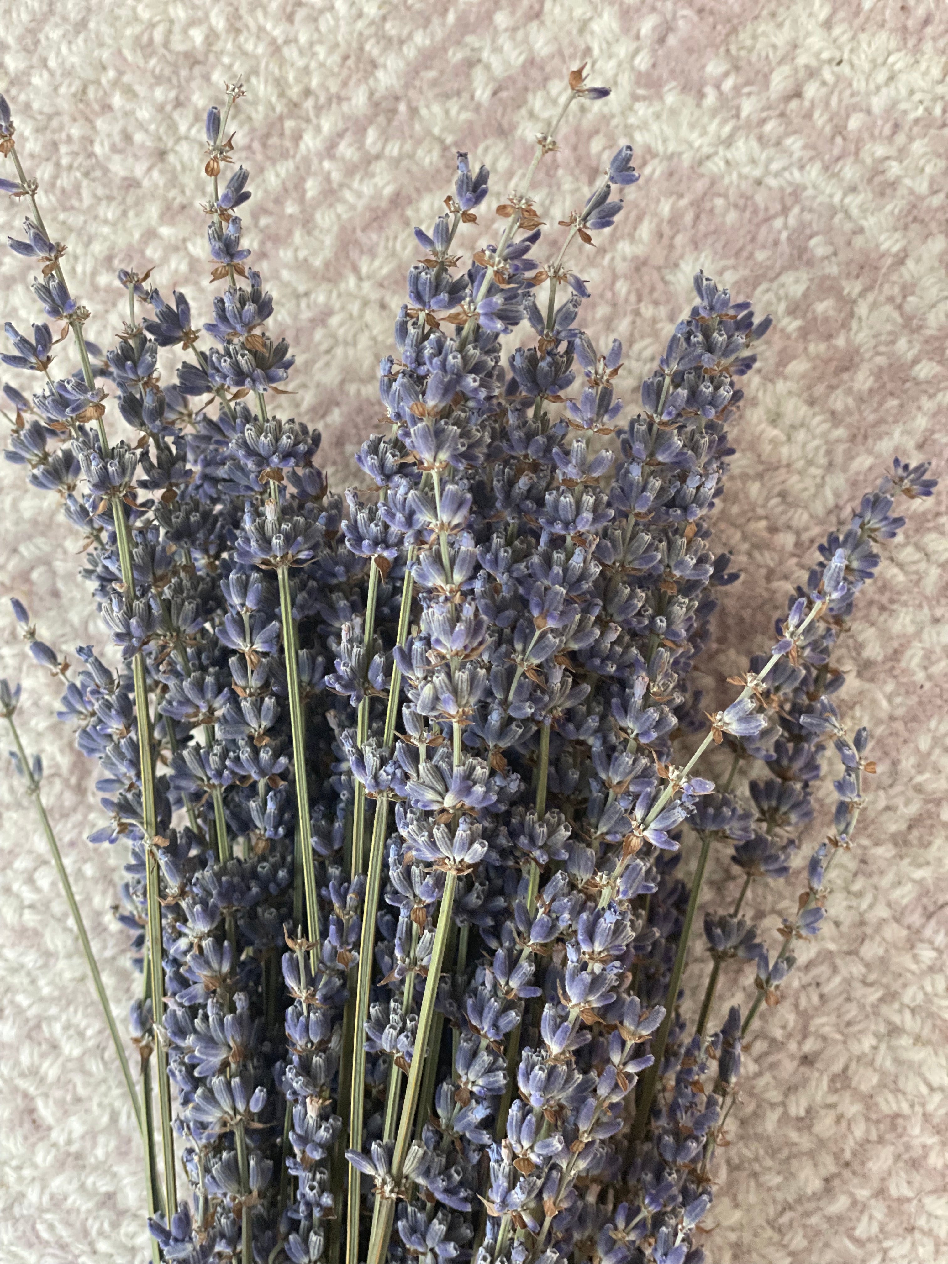 Dry Lavender Bouquet